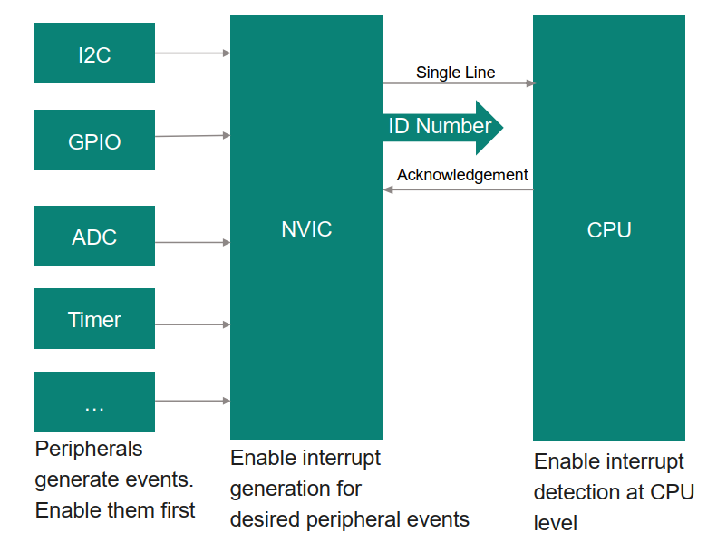 The three gates of interrupt activation. All must be open for the ISR to execute. Diagram showing the three gates an interrupt signal must pass: Peripheral Enable, NVIC Enable, and CPU Global Enable (PRIMASK).